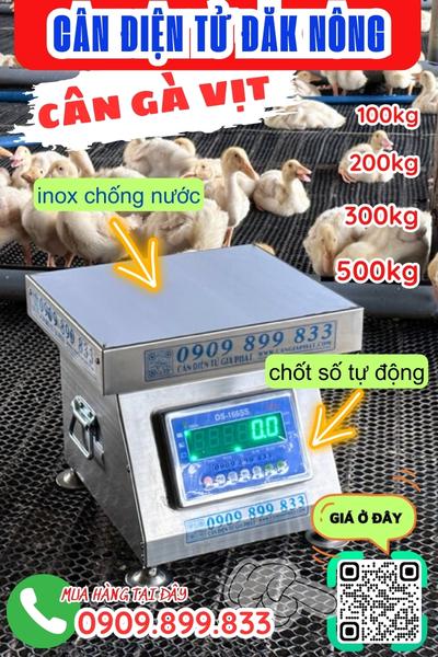 Cân điện tử Lâm Đồng - cân gà vịt 100kg 200kg 300kg 500kg