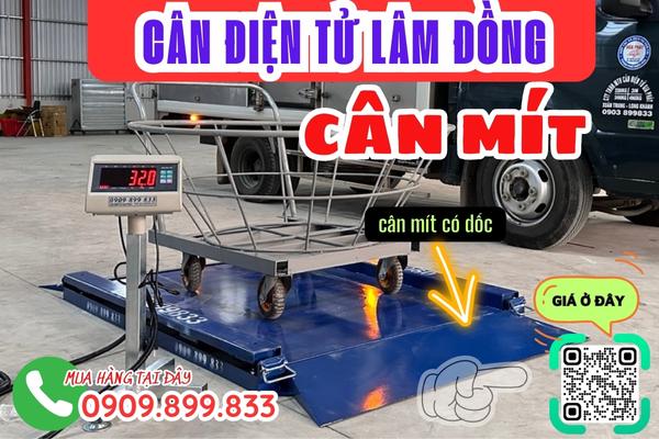 Cân điện tử Lâm Đồng - cân mít 300kg 500kg 1 tấn 2 tấn