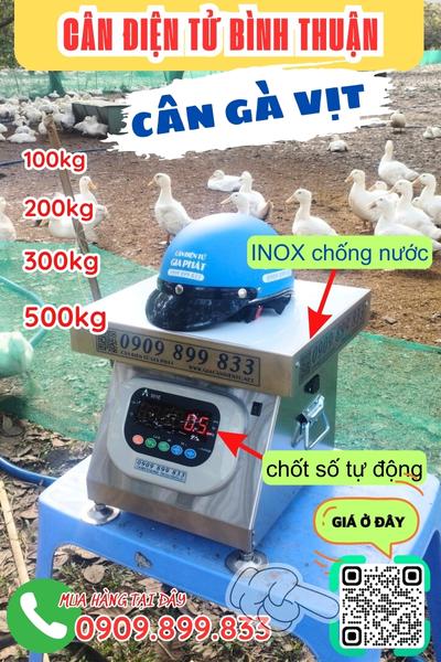 Cân điện tử Bình Thuận - cân gà vịt 100kg 200kg 300kg 500kg