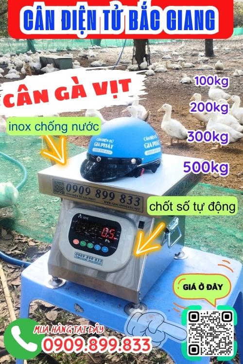 Cân điện tử Bắc Giang - cân gà vịt 100kg 200kg 300kg 500kg