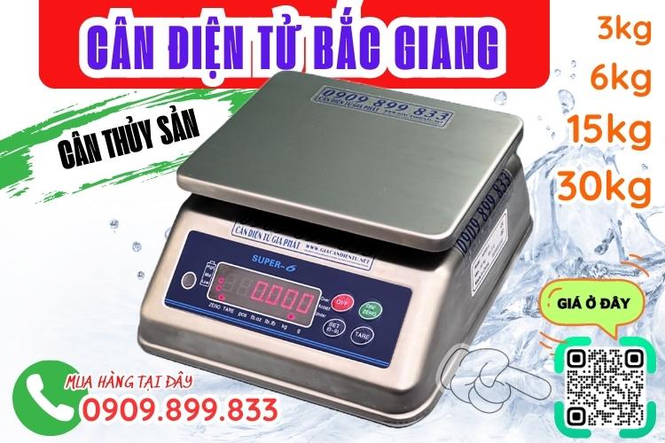 Cân điện tử Bắc Giang - cân điện tử chống nước 3kg 6kg 15kg 30kg