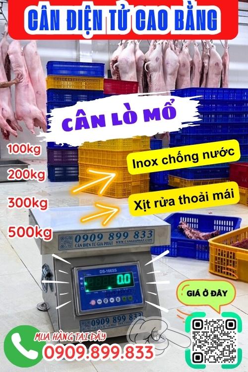 Cân điện tử Cao Bằng - cân lò mổ 100kg 200kg 300kg 500kg