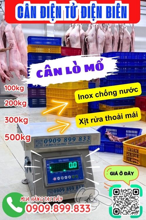 Cân điện tử Điện Biên - cân lò mổ 100kg 200kg 300kg 500kg