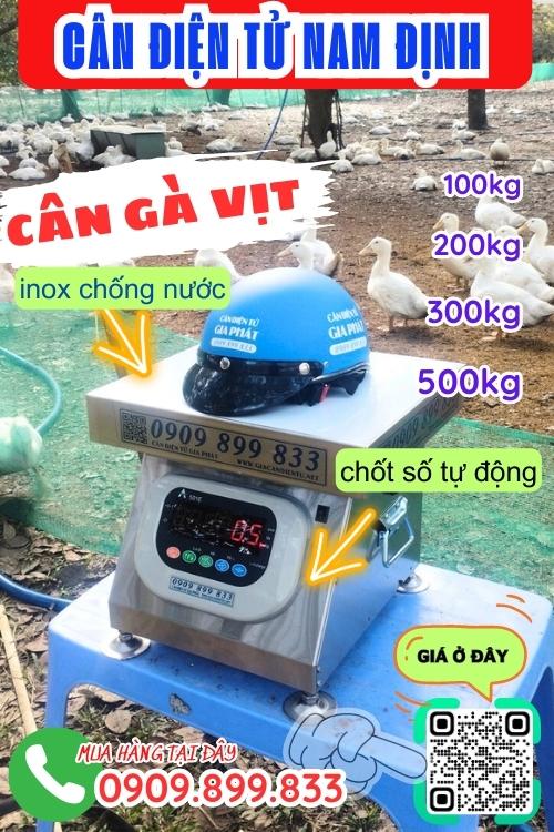 Cân điện tử Nam Định - cân gà vịt 100kg 200kg 300kg 500kg
