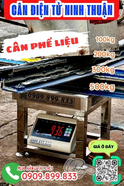 Cân điện tử ở Ninh Thuận - cân điện tử cân phế liệu 200kg 300kg 500kg