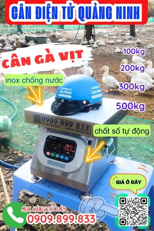 Cân điện tử Quảng Ninh - cân gà vịt 100kg 200kg 300kg 500kg