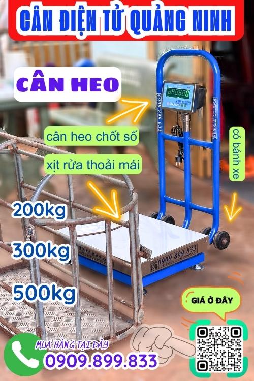 Cân điện tử Quảng Ninh - cân heo 200kg 300kg 500kg chốt số & chống nước