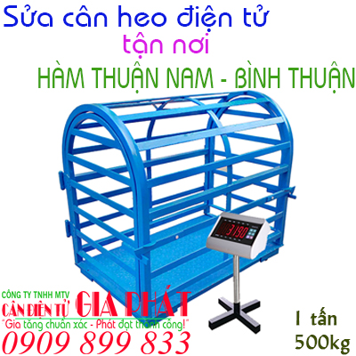 Sửa cân heo điện tử ở tại Hàm Thuận Nam Bình Thuận 300kg 500g 1 2 3 5 tấn