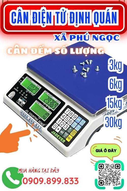 Cân điện tử Phú Ngọc Định Quán Đồng Nai - cân đếm số lượng