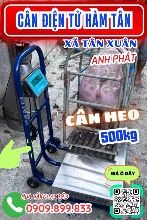 Cân điện tử ở Tân Xuân Hàm Tân Bình Thuận - cân heo 200kg 300kg 500kg