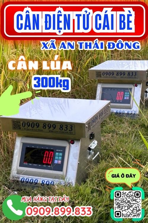 Cân điện tử ở An Thái Đông Cái Bè - cân lúa 100kg 200kg 300kg