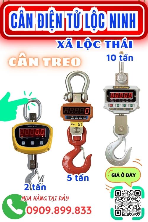 Cân điện tử ở Lộc Thái Lộc Ninh Bình Phước - cân treo