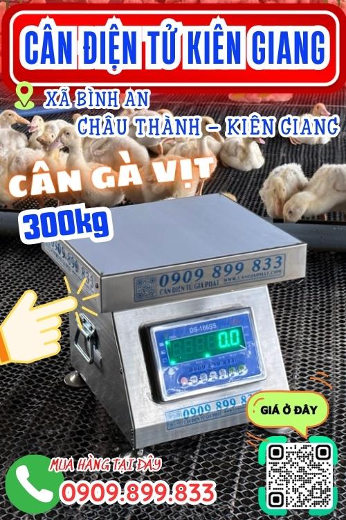 Cân điện tử ở Châu Thành Kiên Giang - cân gà vịt 100kg 200kg 300kg