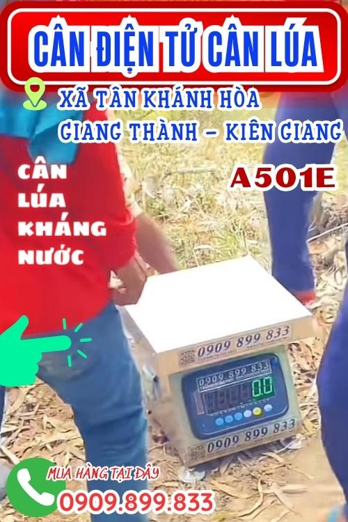 Cân điện tử cân lúa ở Giang Thành Kiên Giang