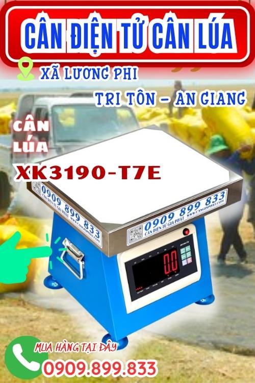 Cân điện tử cân lúa 100kg 200kg 300kg ở Tri Tôn An Giang