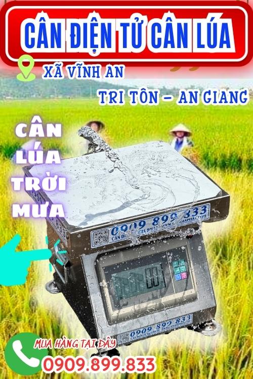 Cân điện tử cân lúa 100kg 200kg 300kg ở Tri Tôn An Giang