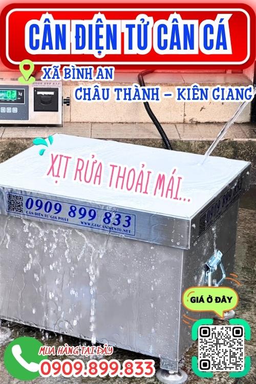 Cân điện tử cân cá inox chống nước 100kg 200kg 300kg ở Châu Thành Kiên Giang