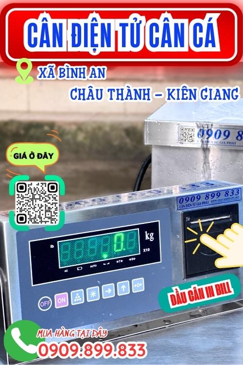 Cân điện tử cân cá chống nước 100kg 200kg 300kg ở Châu Thành Kiên Giang