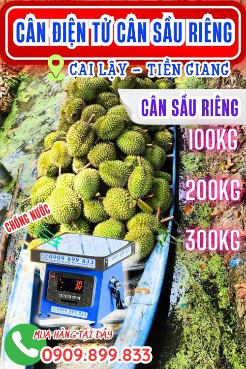 Cân điện tử cân sầu riêng 300kg ở Cai Lậy Tiền Giang