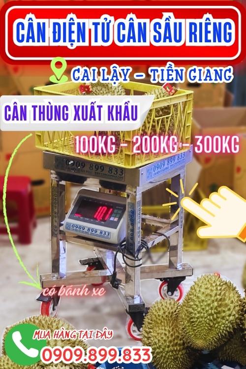 Cân điện tử cân sầu riêng 100kg 200kg 300kg ở Cai Lậy Tiền Giang - cân thùng xuất khẩu