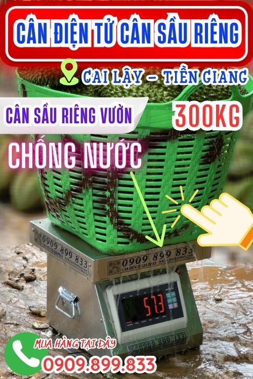 Cân điện tử cân sầu riêng 100kg 200kg 300kg ở Cai Lậy Tiền Giang - cân sầu riêng vườn