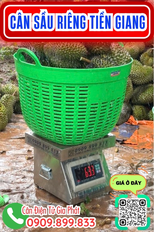Cân điện tử cân sầu riêng 100kg 200kg 300kg ở Tiền Giang - cân sầu riêng vườn