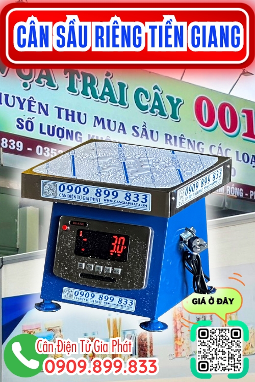 Cân điện tử cân sầu riêng ở Tiền Giang 100kg 200kg 300kg - sầu riêng 001