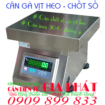Cân điện tử Bà Rịa Vũng Tàu, cân điện tử ở Bà Rịa Vũng Tàu, cân điện tử tại Bà Rịa Vũng Tàu cân gà vịt heo