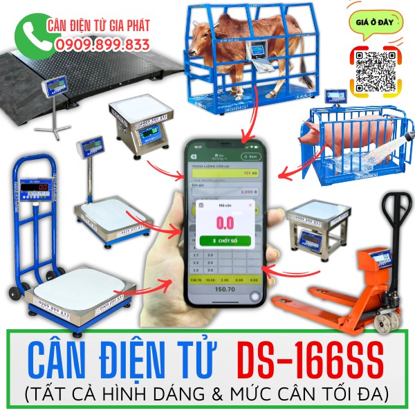 Cân điện tử DS-166SS - CÂN ĐIỆN TỬ GIA PHÁT