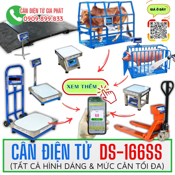 Cân điện tử DS-166SS