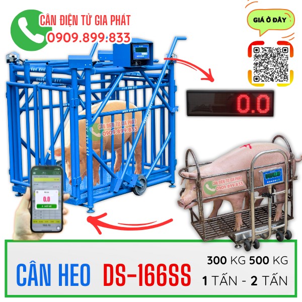 Cân điện tử cân heo cân lợn DS-166SS 300kg 500kg 1 tấn 2 tấn