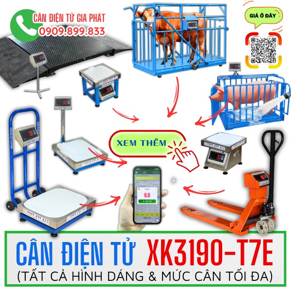 Cân điện tử XK3190-T7E