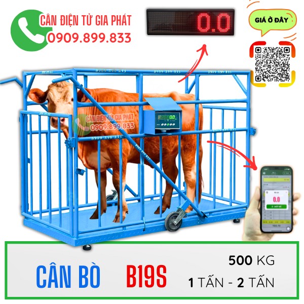 Cân điện tử cân trâu cân bò B19S 1 tấn 2 tấn