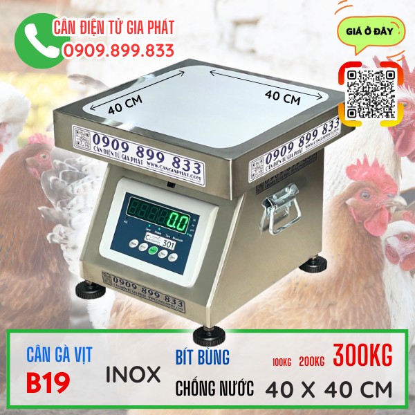 Cân điện tử cân gà vịt B19 inox 100kg 200kg 300kg 500kg