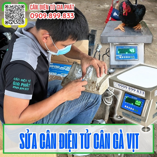 Sửa cân điện tử cân gà vịt 100kg 150kg 200kg 300kg 500kg