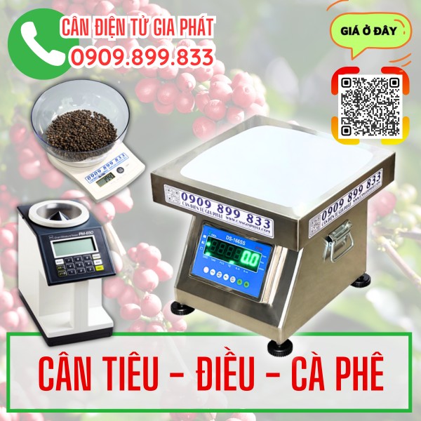 Cân tiêu - điều - cà phê