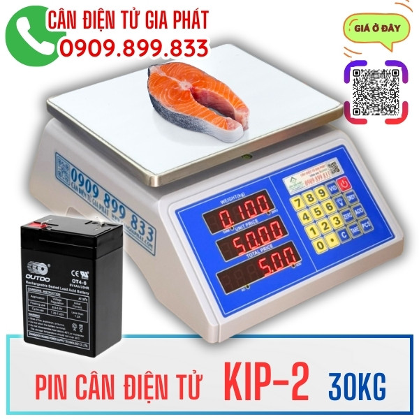 Pin cân điện tử tính tiền KIP-2 30kg 4V 6V