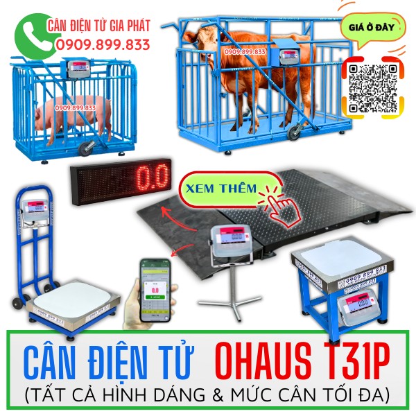Cân điện tử Ohaus T31P