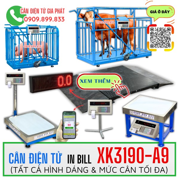 Cân điện tử XK3190-A9 in bill