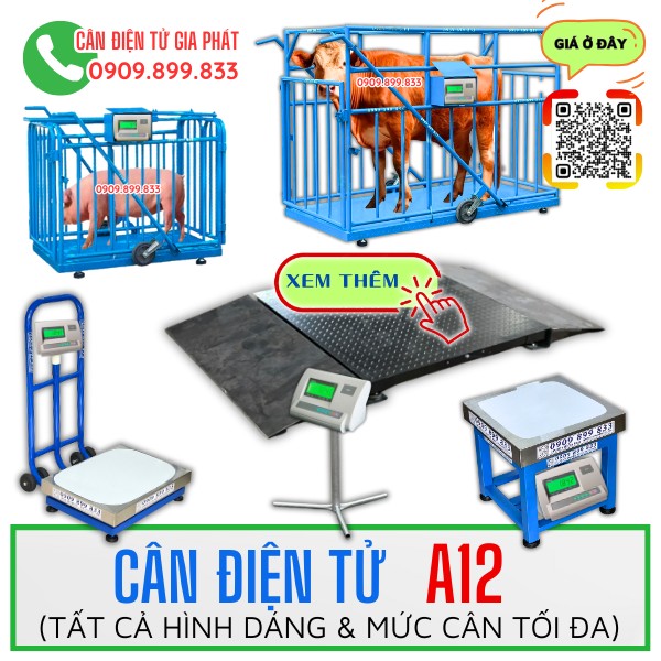 Cân điện tử A12
