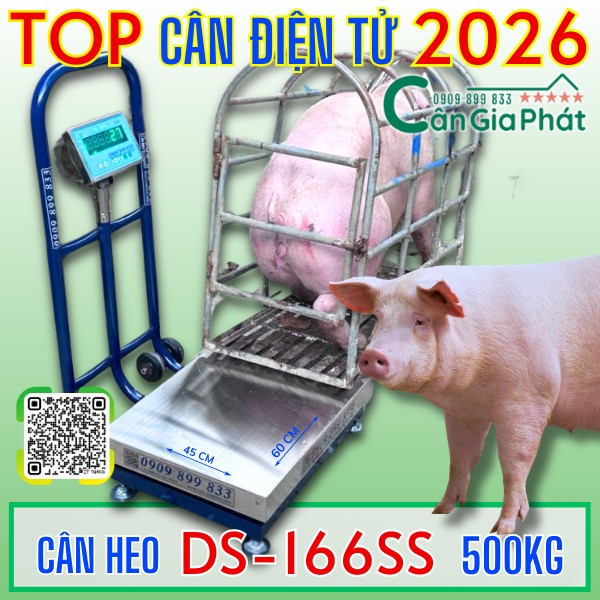 Cân điện tử cân heo 200kg 300kg 500kg năm 2026