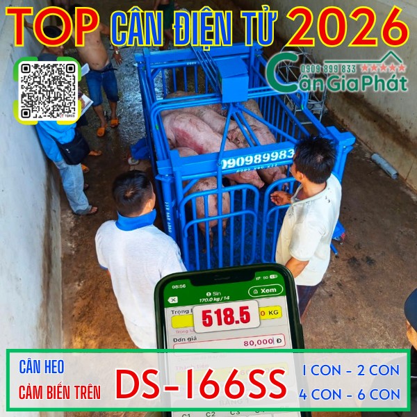 C&acirc;n điện tử c&acirc;n heo 2 con 4 con 5 con 6 con năm 2026
