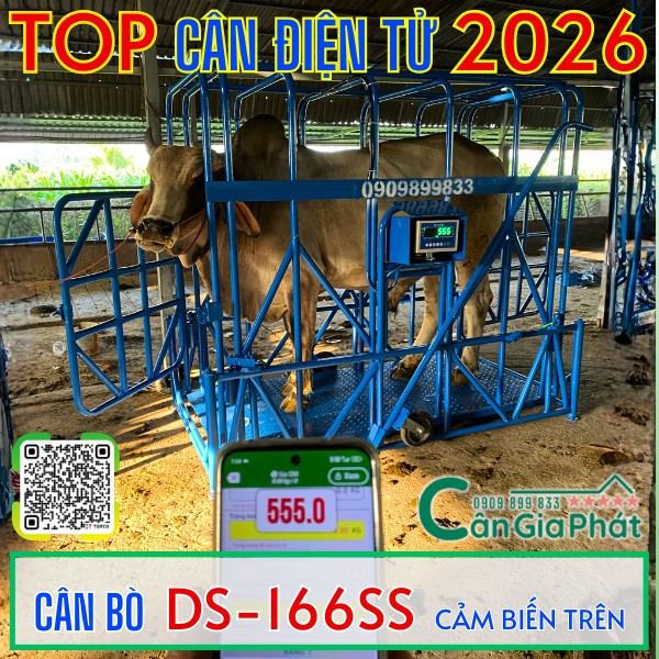 Cân điện tử cân bò 1 tấn 2 tấn năm 2026