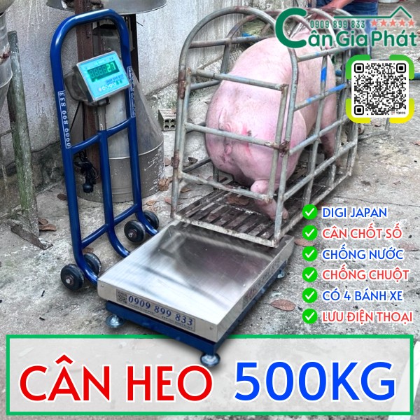 C&acirc;n heo điện tử 200kg 300kg 500kg