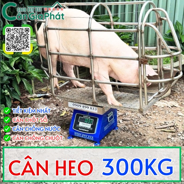 C&acirc;n điện tử c&acirc;n heo 200kg 300kg 500kg