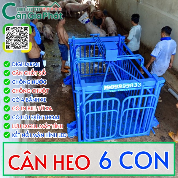 C&acirc;n điện tử c&acirc;n heo cảm biến tr&ecirc;n 5 con 6 con 1 tấn