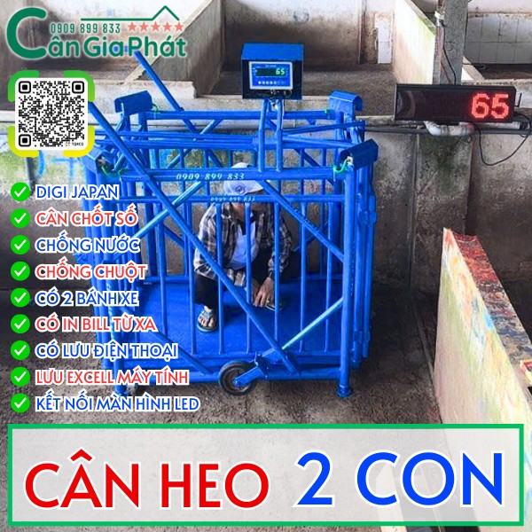 C&acirc;n heo điện tử c&acirc;n 2 con 300kg 500kg 1 tấn