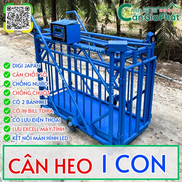 C&acirc;n heo điện tử c&acirc;n 1 con 200kg 300kg 500kg