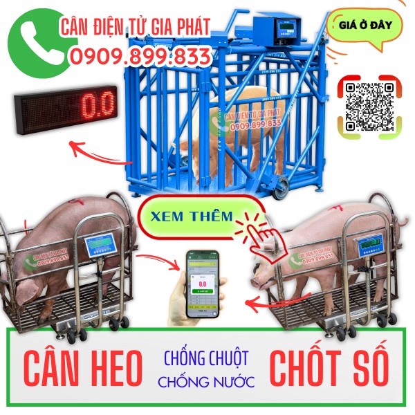 Cân heo điện tử