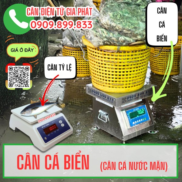 Cân điện tử cân cá biển inox chống nước 3kg 6kg 15kg 30kg 60kg 100kg 200kg 300kg